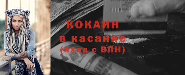прущие грибы Наволоки
