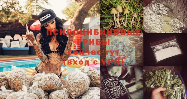 МДПВ Михайловка