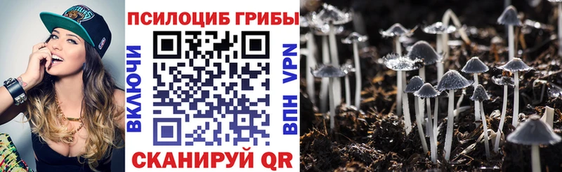 kraken ONION  Никольск  Псилоцибиновые грибы GOLDEN TEACHER  наркошоп 